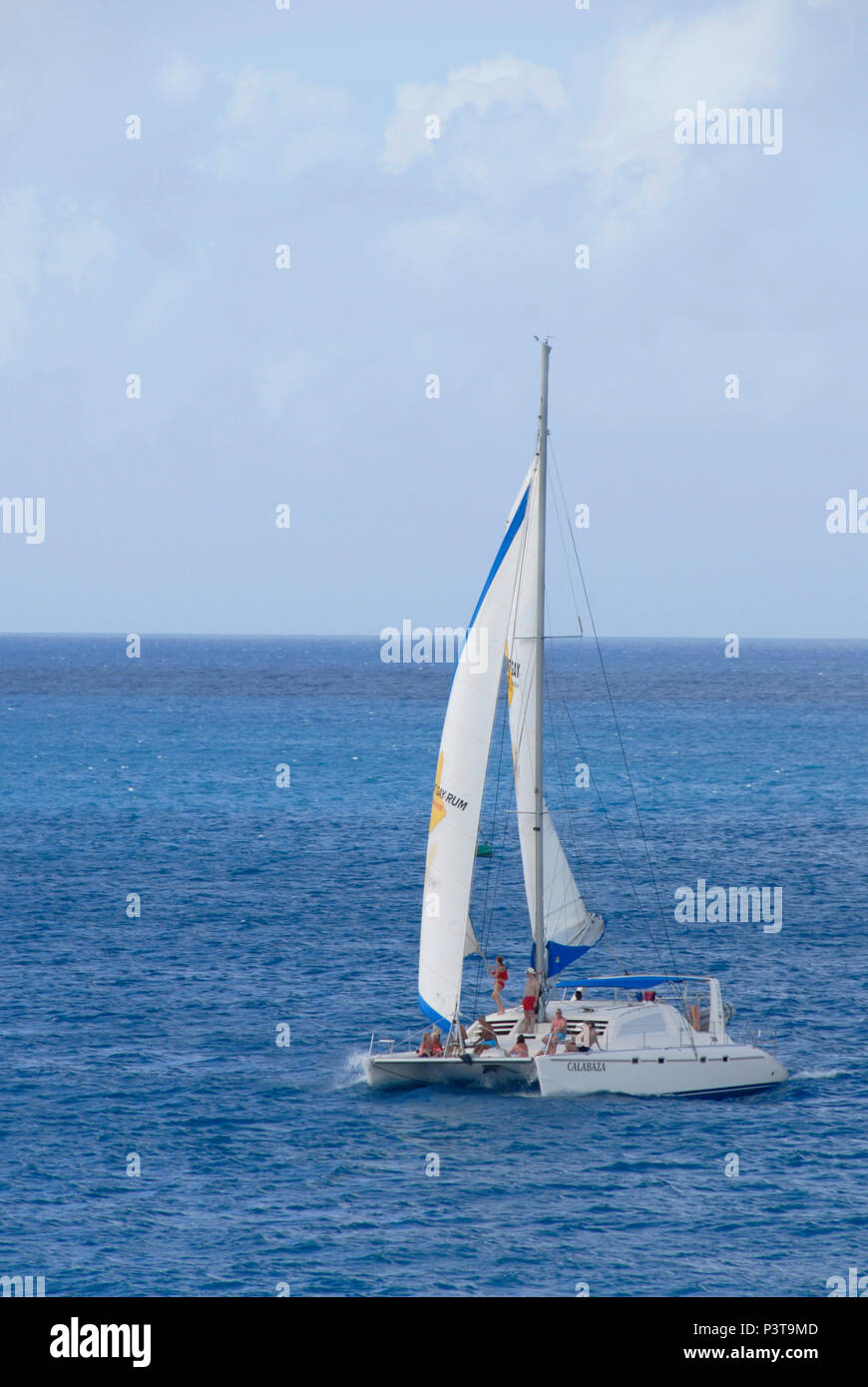 Catamarano a vela Calabaza, Barbados, Caraibi Foto Stock