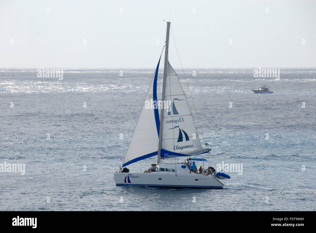 Catamarano a vela eleganza, Barbados, Caraibi Foto Stock