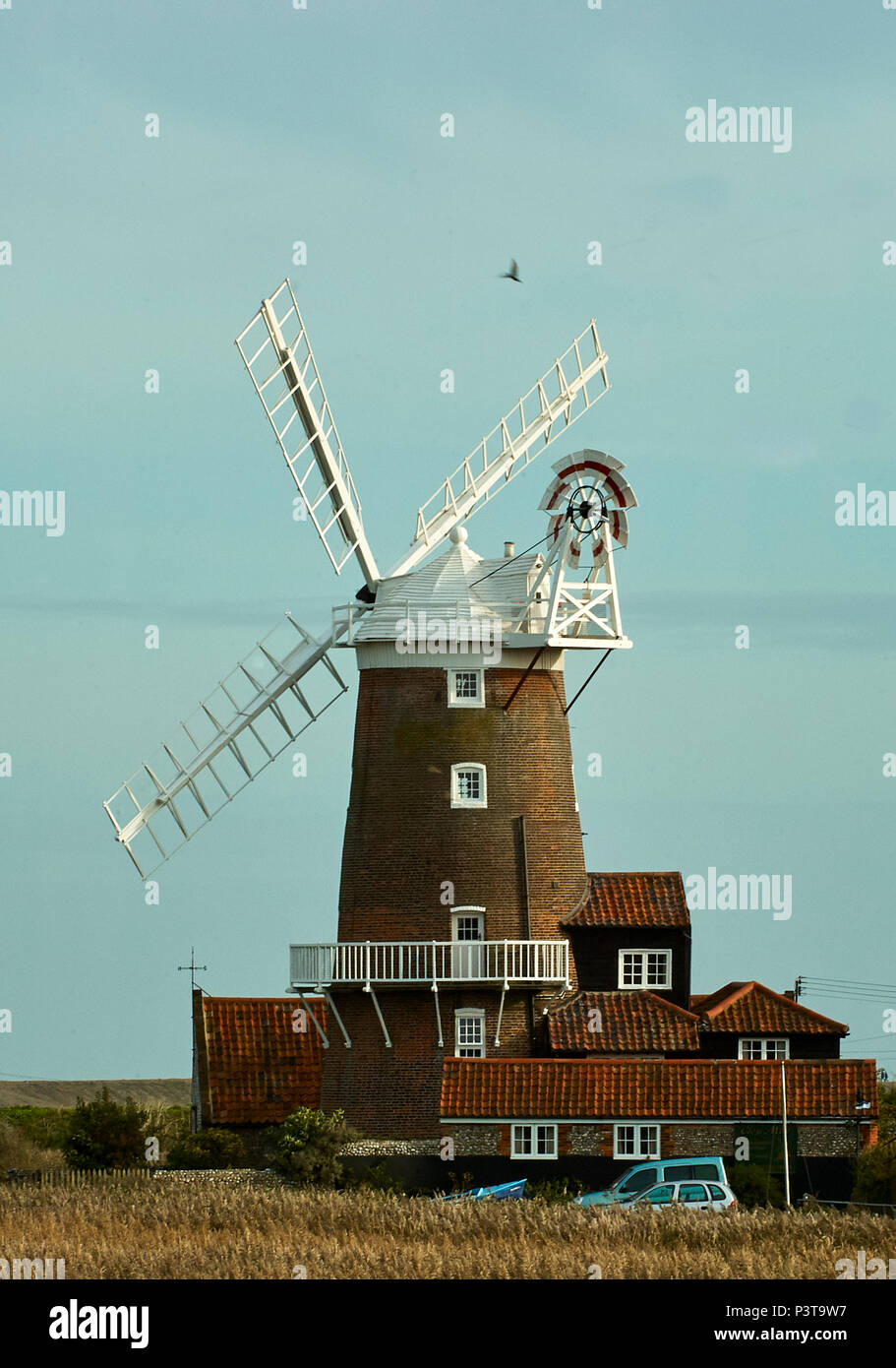 Gli uccelli evitando le vele del mulino di Cley Foto Stock