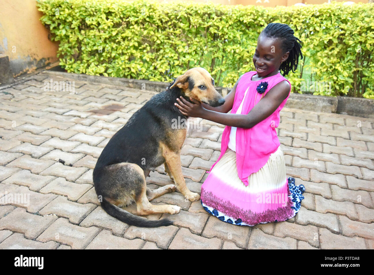Una ragazza ottenere accogliente con il suo cane Foto Stock