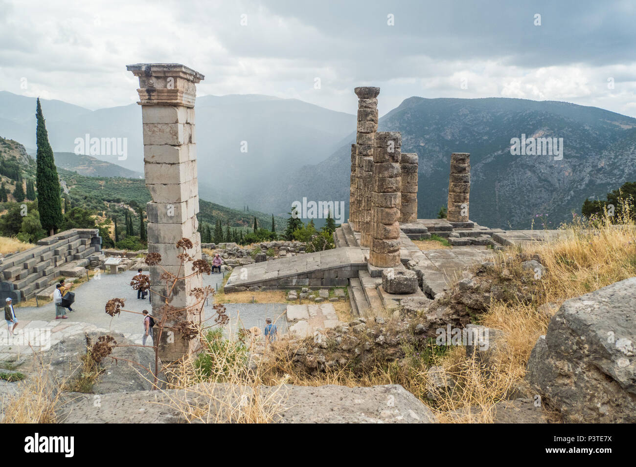 Delphi, un antico abitato sul monte Parnaso in Grecia, una volta casa del leggendario Oracle. Le colonne sono parte del IV secolo A.C. Tempio di Apollo Foto Stock