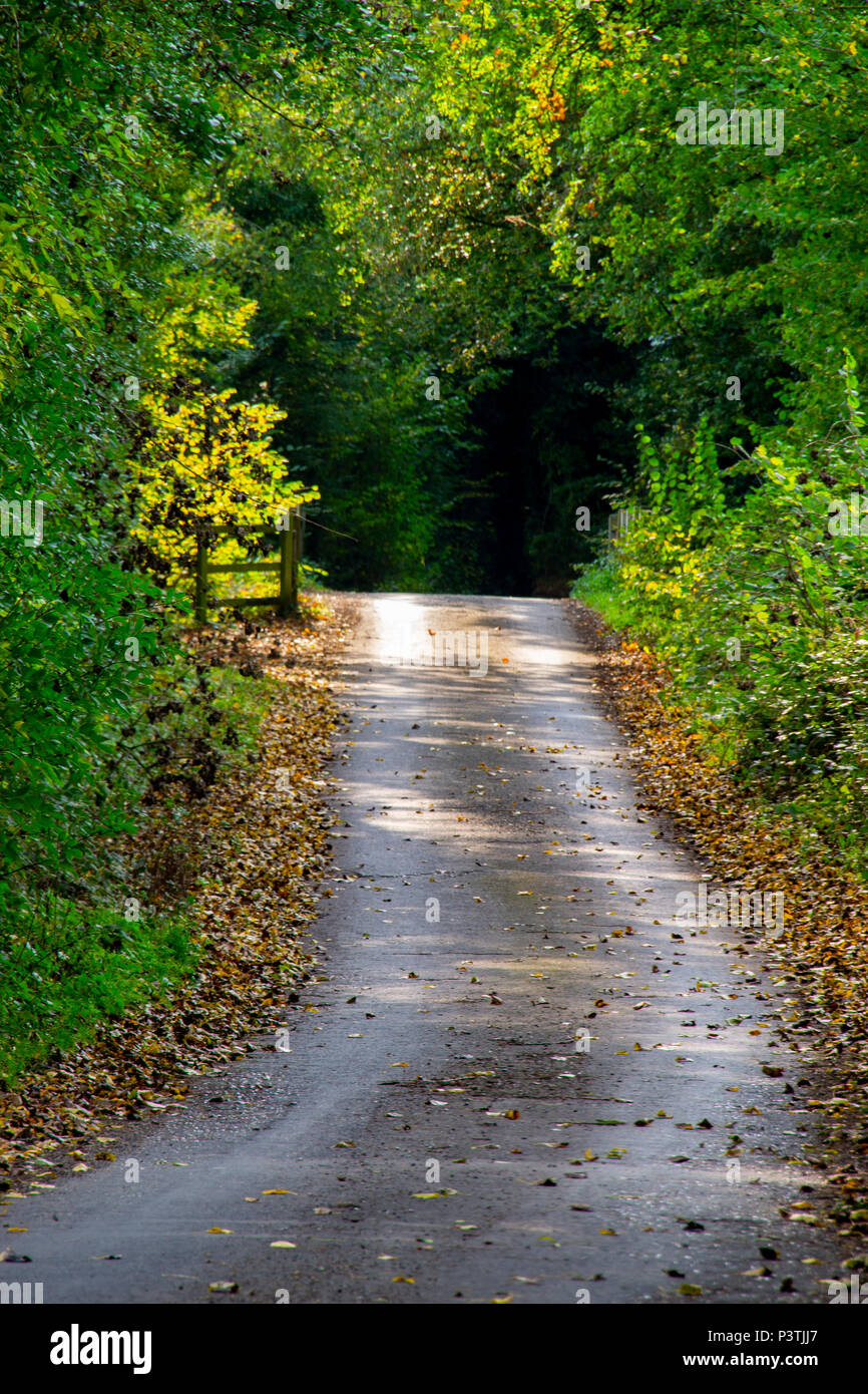 Strada solitaria Foto Stock