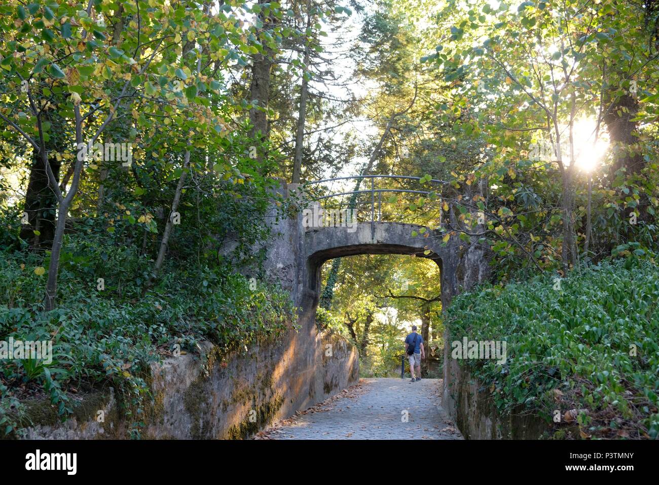 Sintra National Palace o Pena Palace, Sintra, Portogallo Foto Stock