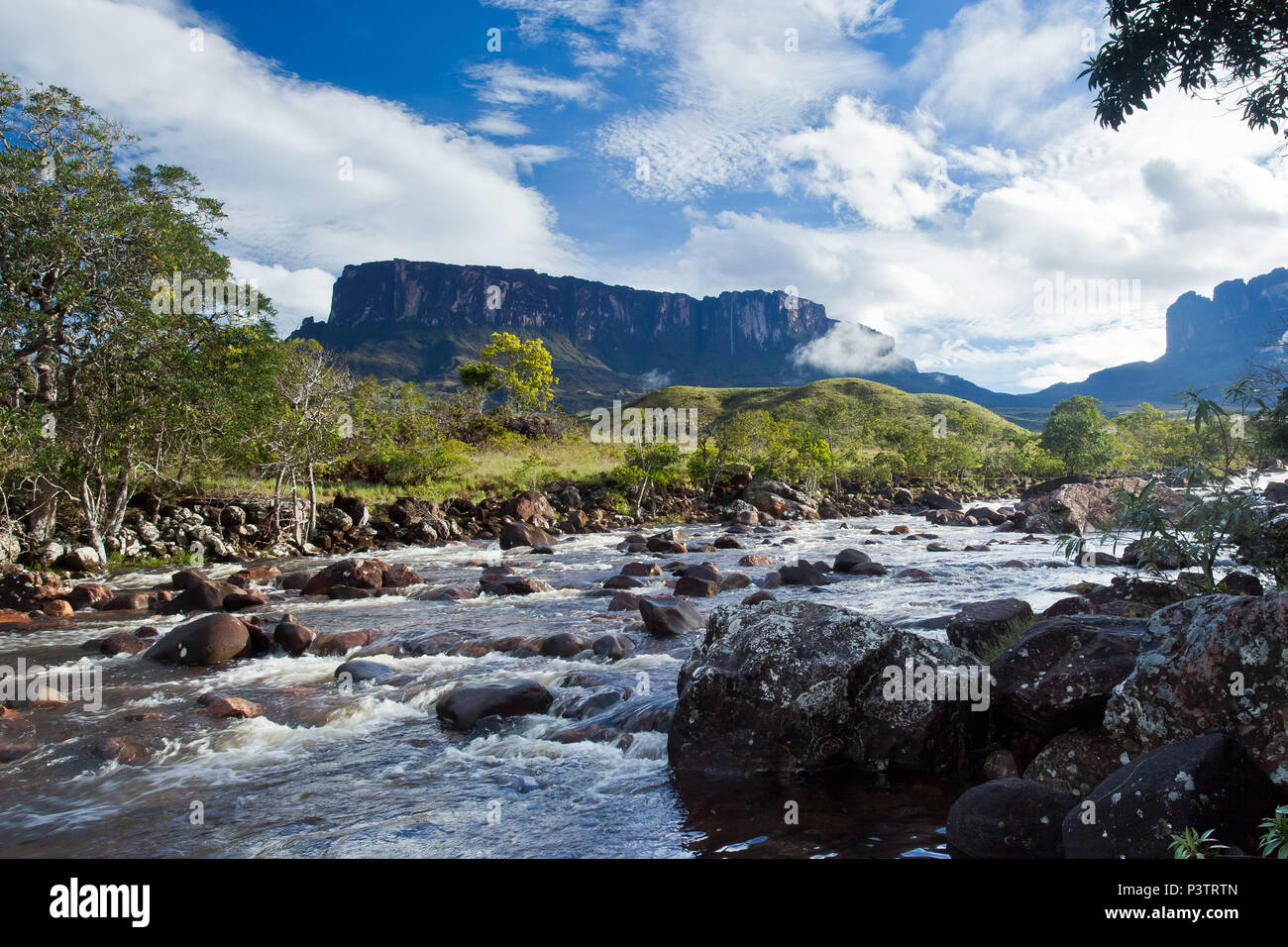 MONTE RORAIMA, RR - 21.07.2012: MONTE RORAIMA - Rio Kukenán e Matawi Tepui ao fundo.. (Foto: Keko Pascuzzi / Fotoarena) Foto Stock