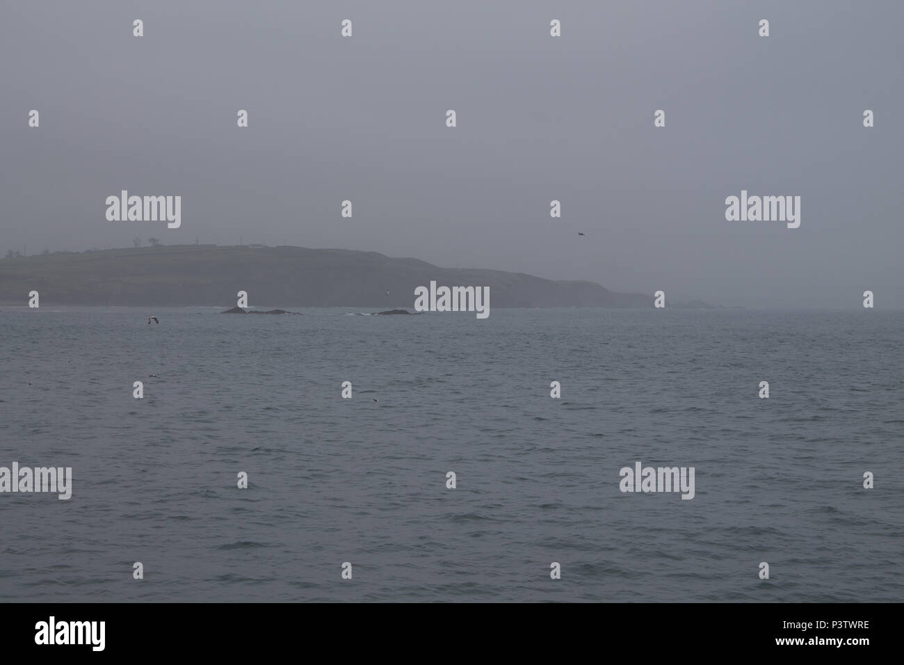 West Cork, Irlanda. 19 giugno 2018. Un umido grigio per iniziare la giornata, con basse nubi e vapore che ricopre le colline quasi fino al livello del mare, con una promessa di meteo più luminose più tardi quando il cloud inizia a rompere. Credito: aphperspective/Alamy Live News Foto Stock