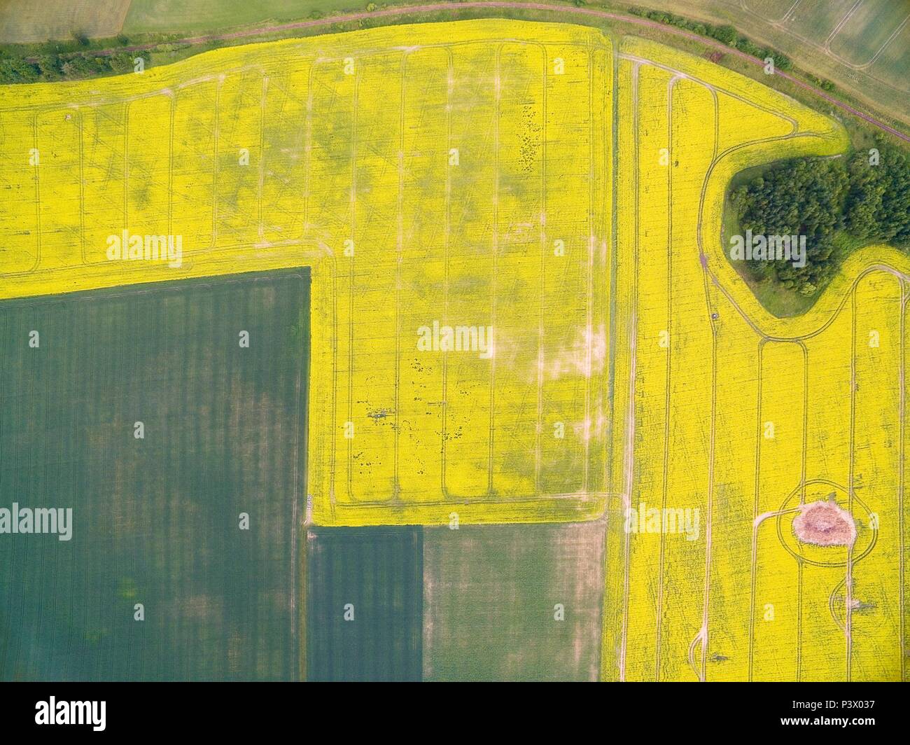 Vista aerea del paesaggio rurale di Lake District - Mazury, Polonia. Campo della fioritura di colore giallo per la canola Foto Stock