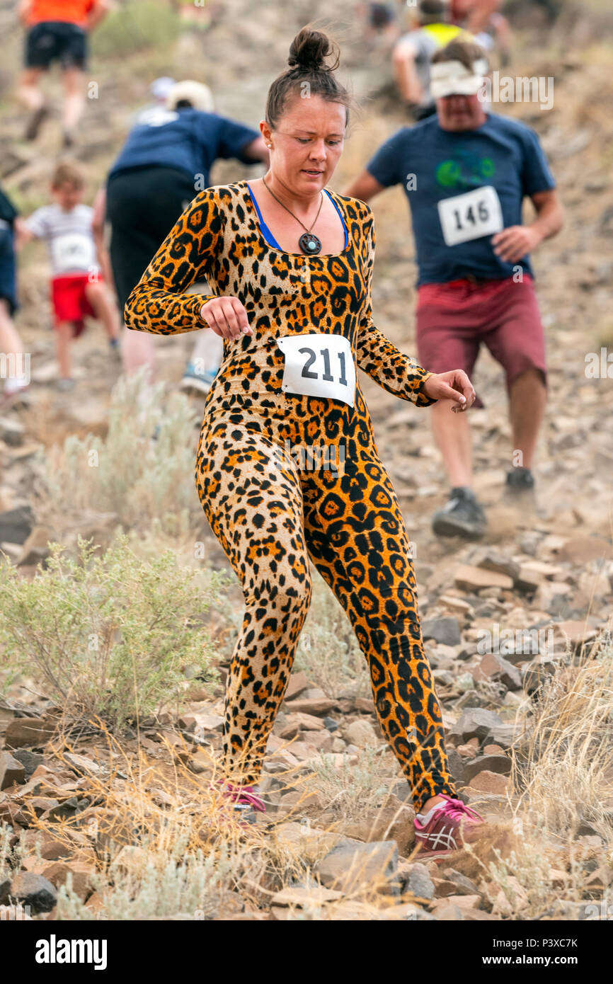 Atleta femminile Lauren Robb compete in una gara del piede e salire fino a 'S' Mountain (Tenderfoot Montagna) durante l'annuale Festival Fibark; Salida; Colorado Foto Stock