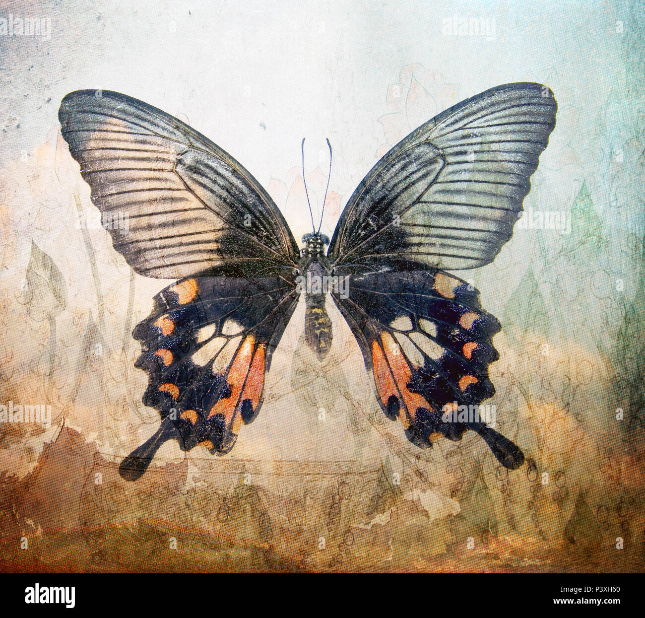 Una farfalla grunge texture di sfondo Foto Stock