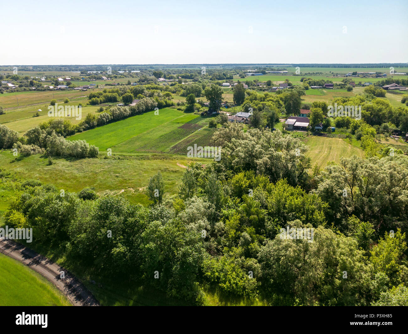 Vista da sopra alla campagna in estate nella regione di Lipetsk in Russia Foto Stock