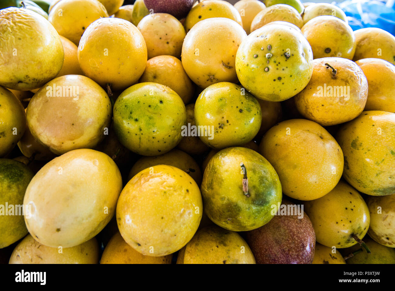 Maracujá (Passiflora edulis) duranti feira de Produtos regionais em Iranduba/AM. Foto Stock