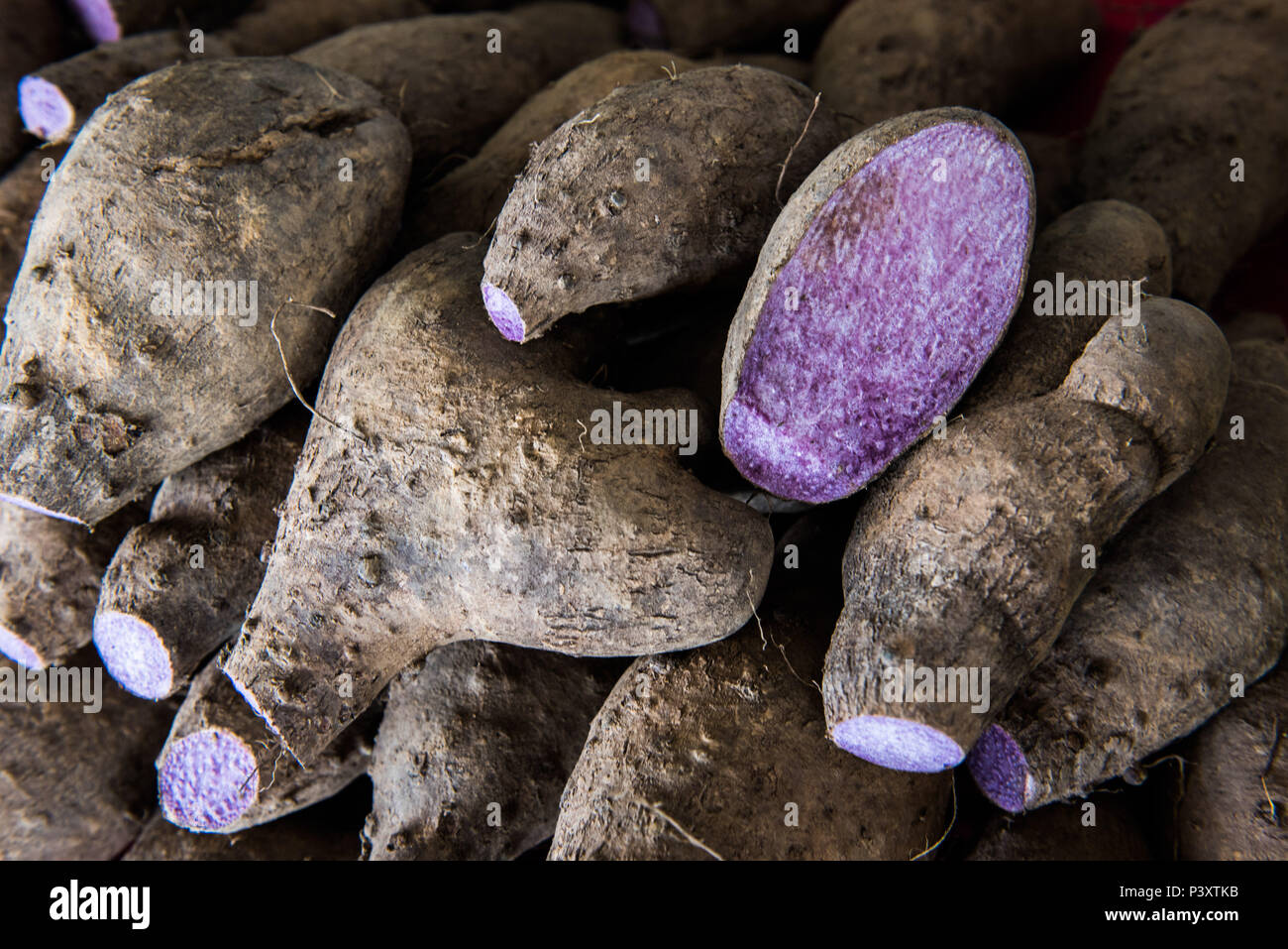Cará Roxo, nhame, duranti feira de Produtos regionais em Iranduba/AM. Foto Stock