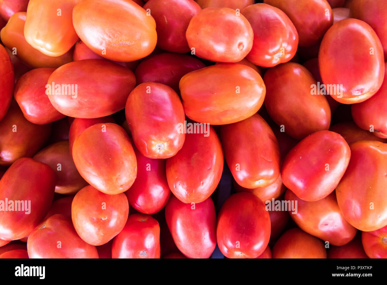 Tomate duranti regionale di Feira de Produtos regionais em Iranduba/AM. Foto Stock