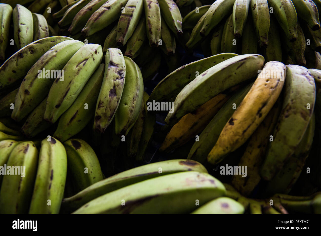 Banana duranti regionale di Feira de Produtos regionais em Iranduba/AM. Foto Stock