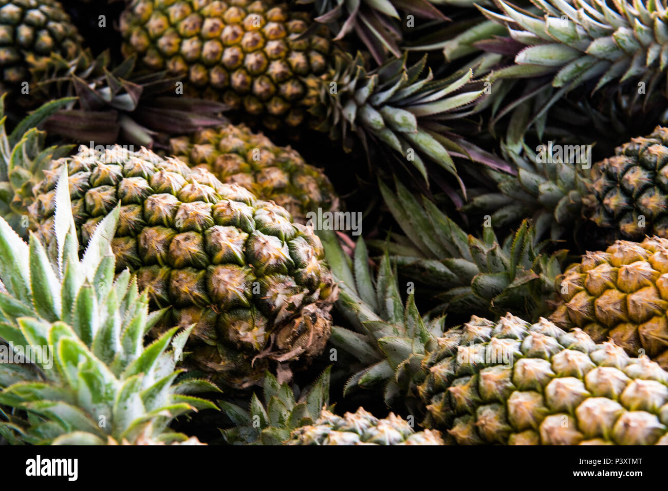 Abacaxi, Ananas comosus, duranti feira de Produtos regionais em Iranduba/AM. Foto Stock
