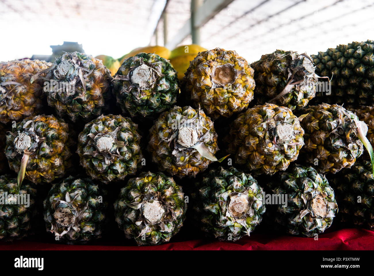 Abacaxi, Ananas comosus, duranti feira de Produtos regionais em Iranduba/AM. Foto Stock