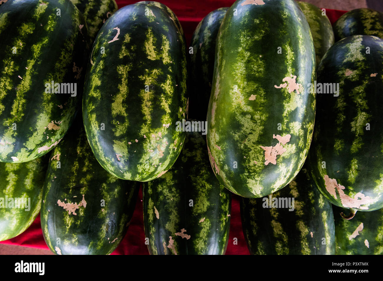 Melancia (Citrullus lanatus) duranti feira de Produtos regionais em Iranduba/AM. Foto Stock