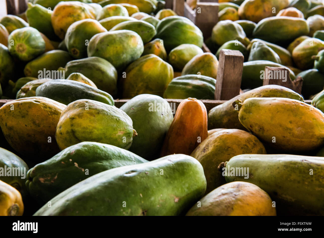 Mamão, papaia, ababaia, Carica papaya, duranti feira de Produtos regionais em Iranduba/AM. Foto Stock
