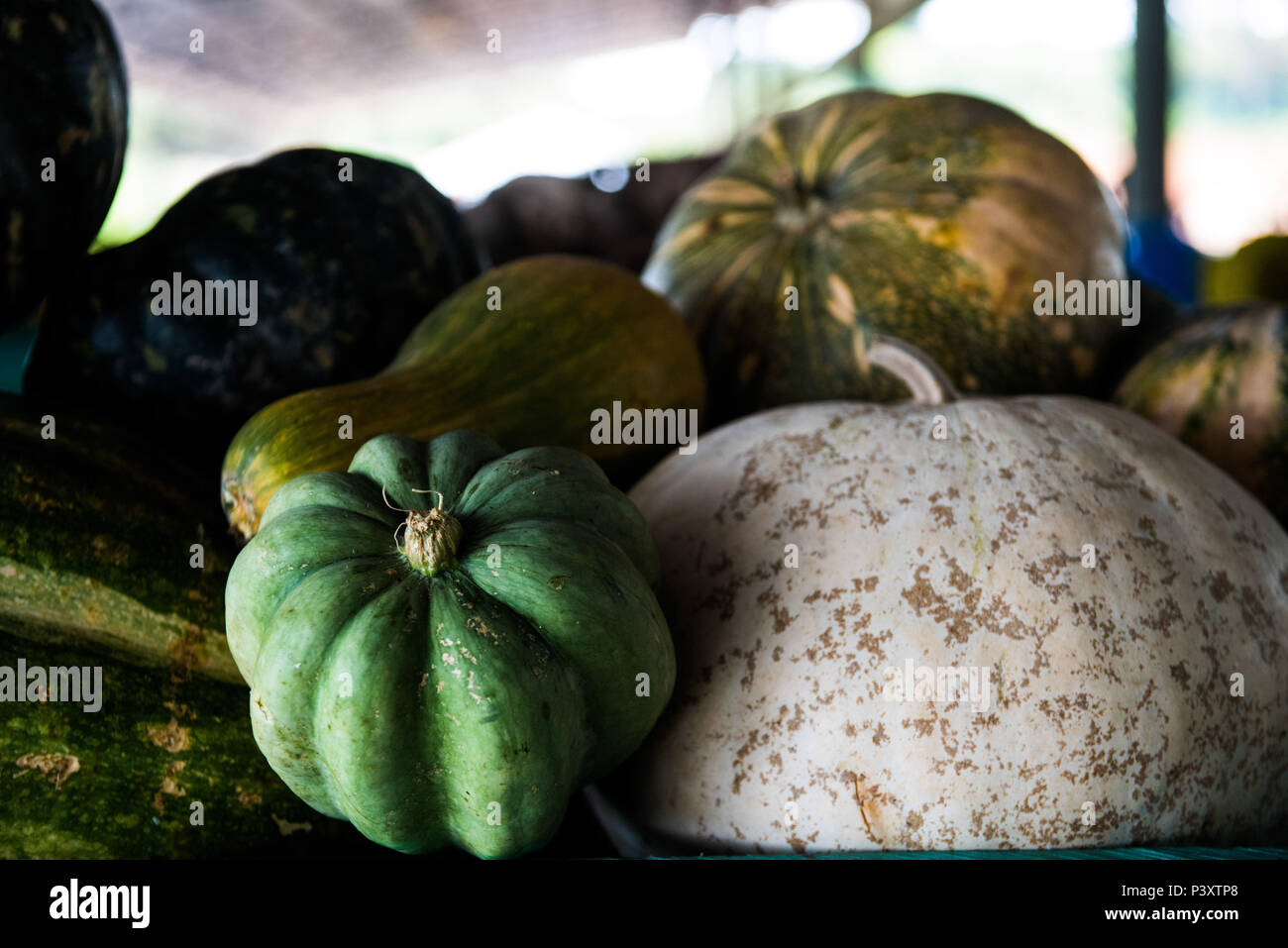 Abóbora, abóbora-amarela, jerimu, jerimum, abóbora comum, gênero Cucurbita, duranti feira de Produtos regionais em Iranduba/AM Foto Stock