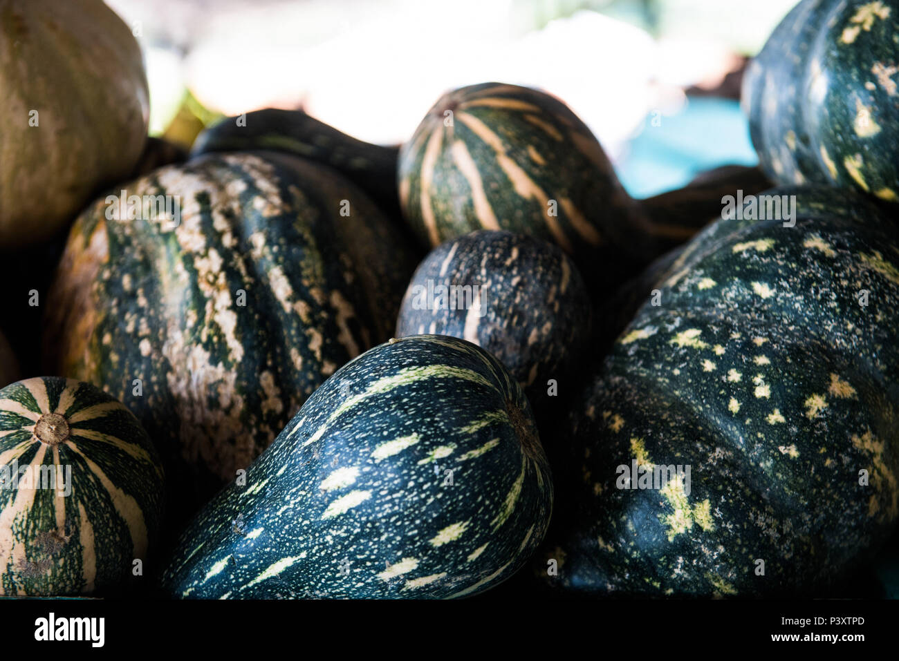 Abóbora, abóbora-amarela, jerimu, jerimum, abóbora comum, gênero Cucurbita, duranti feira de Produtos regionais em Iranduba/AM Foto Stock