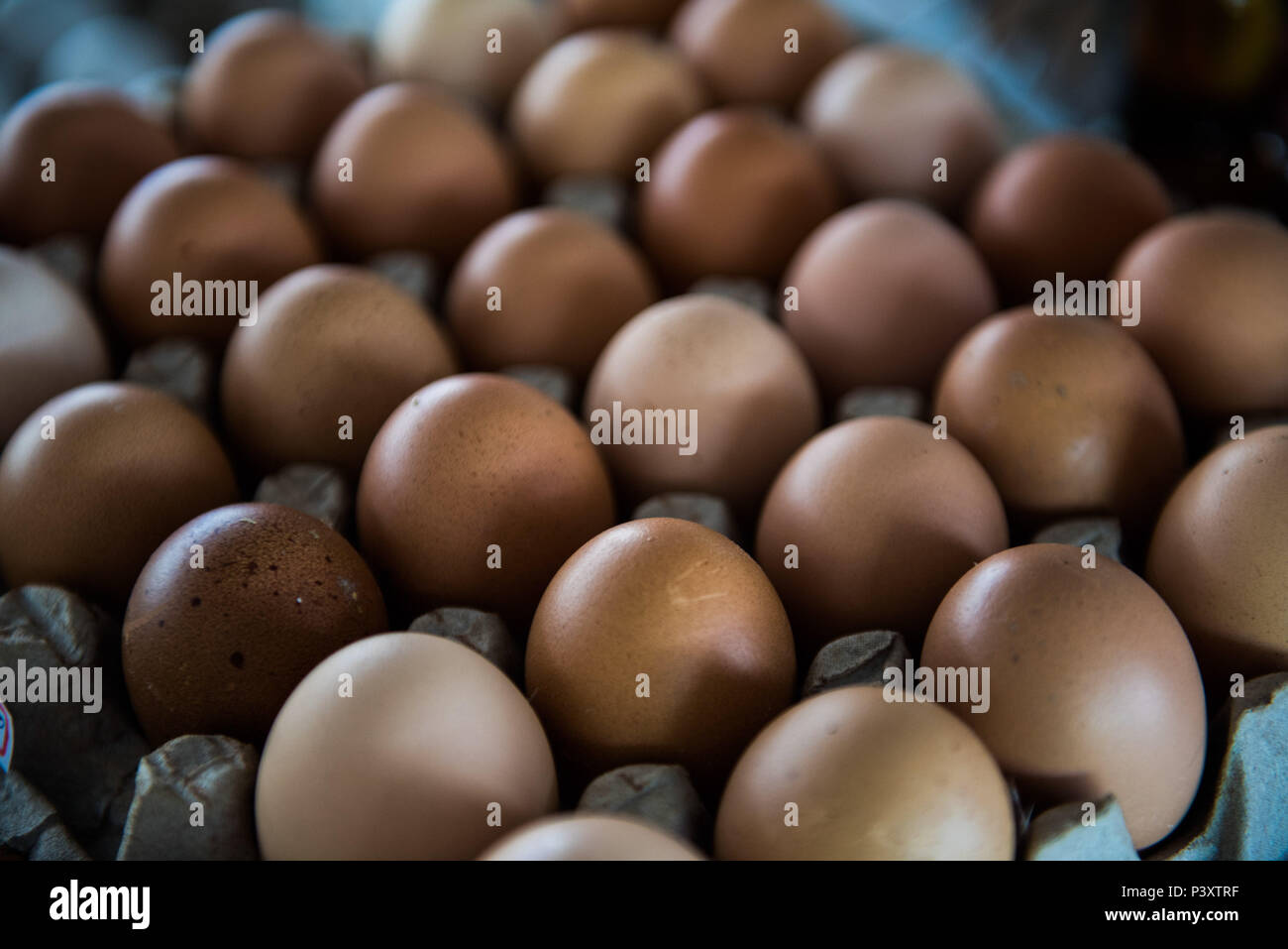 Ovos de galinha duranti feira de Produtos regionais em Iranduba/AM. Foto Stock