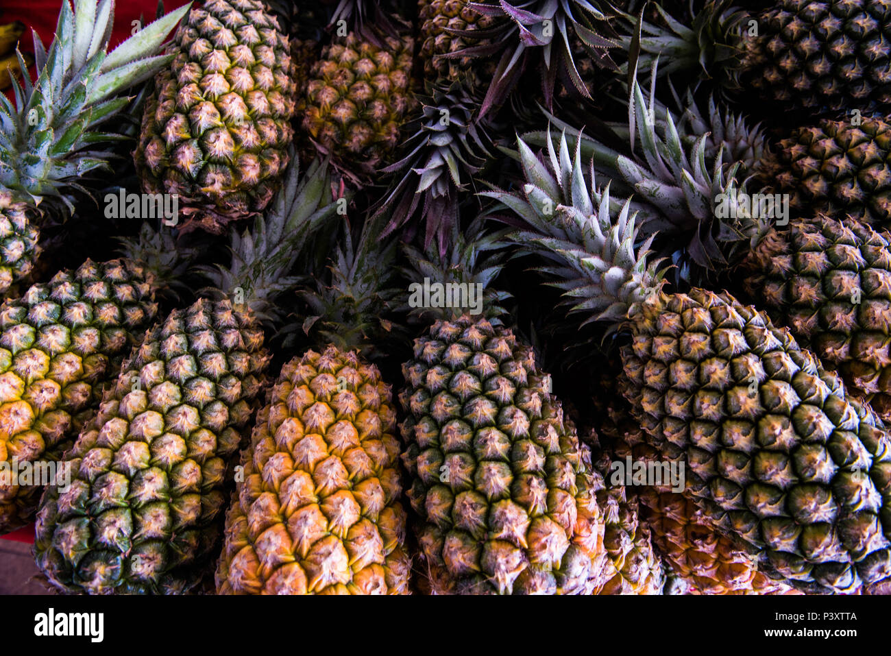 Abacaxi, Ananas comosus, duranti feira de Produtos regionais em Iranduba/AM. Foto Stock