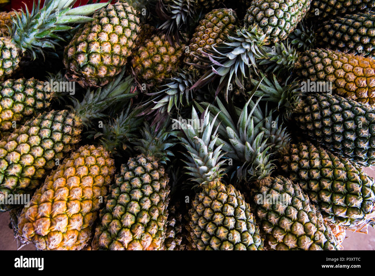 Abacaxi, Ananas comosus, duranti feira de Produtos regionais em Iranduba/AM. Foto Stock
