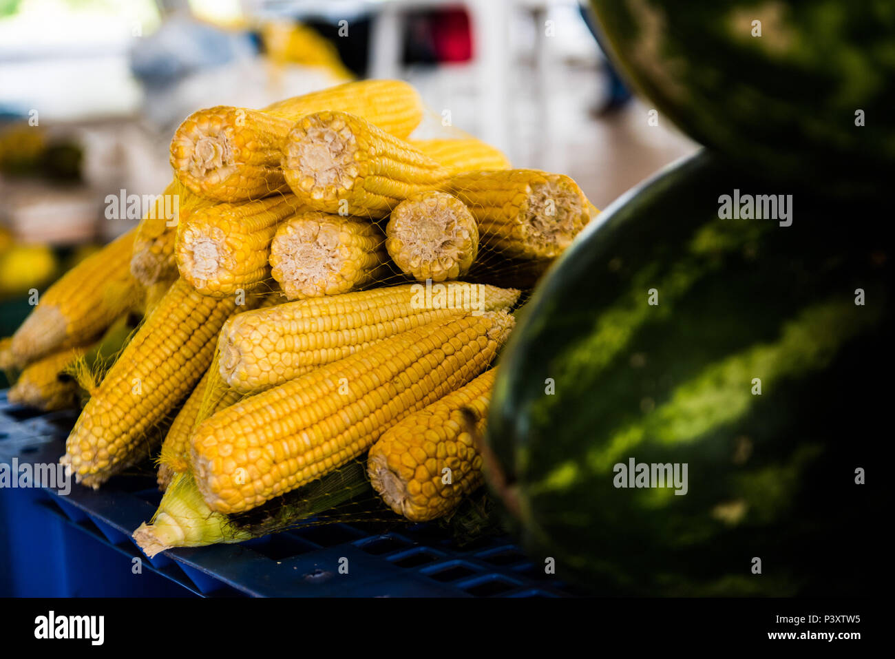 Milho, milho verde duranti feira de Produtos regionais em Iranduba/AM. Foto Stock