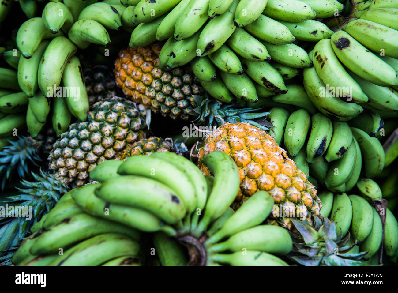 Abacaxi, Ananas comosus, e banana duranti feira de Produtos regionais em Iranduba/AM. Foto Stock