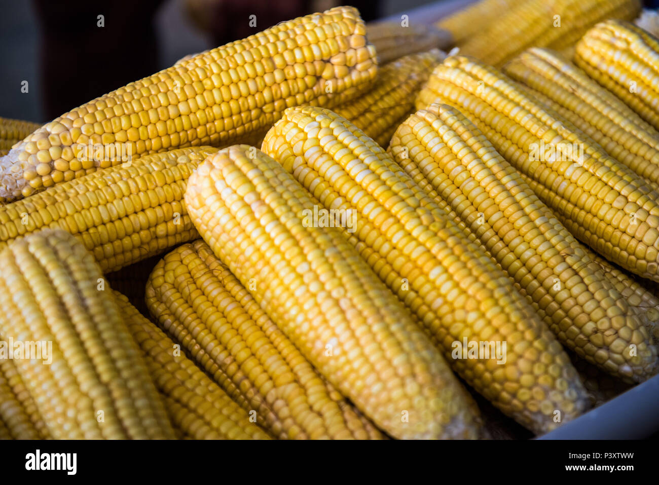 Milho, milho verde duranti feira de Produtos regionais em Iranduba/AM. Foto Stock