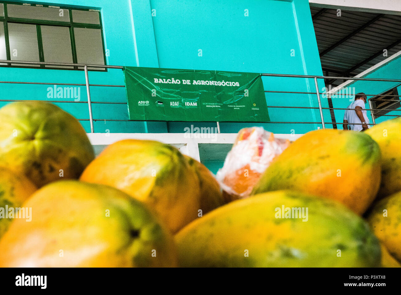 Mam'o, papaia, ababaia, Carica papaya, indicação de balcão de agronegócio, duranti feira de Produtos regionais em Iranduba/AM. Foto Stock