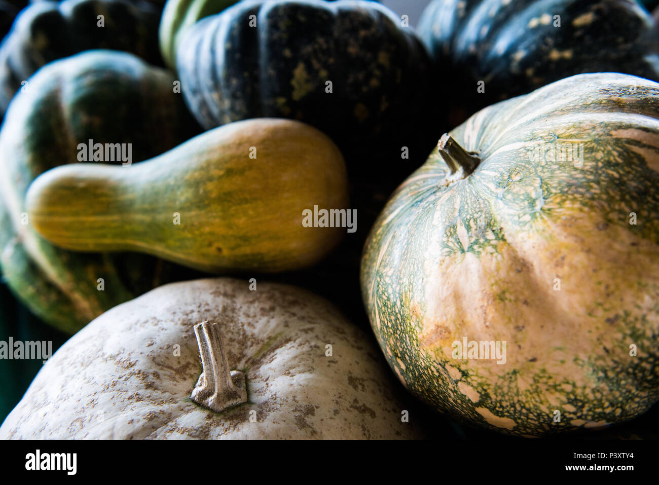 Abóbora, abóbora-amarela, jerimu, jerimum, abóbora comum, gênero Cucurbita, duranti feira de Produtos regionais em Iranduba/AM Foto Stock