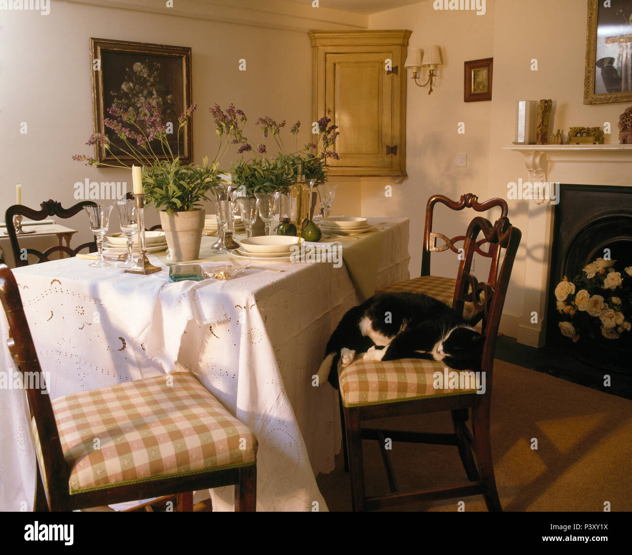 Nero+White cat dormendo su una sedia accanto al tavolo per il pranzo con panno di lino bianco e vasi di lavanda Foto Stock