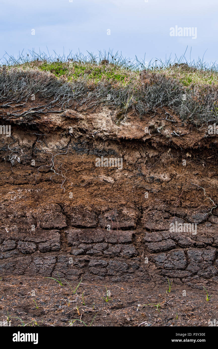 La torba hag mostra esposto strati di tappeto erboso, decadeva vegetazione, da fenomeni di erosione in bog brughiera, Scotland, Regno Unito Foto Stock