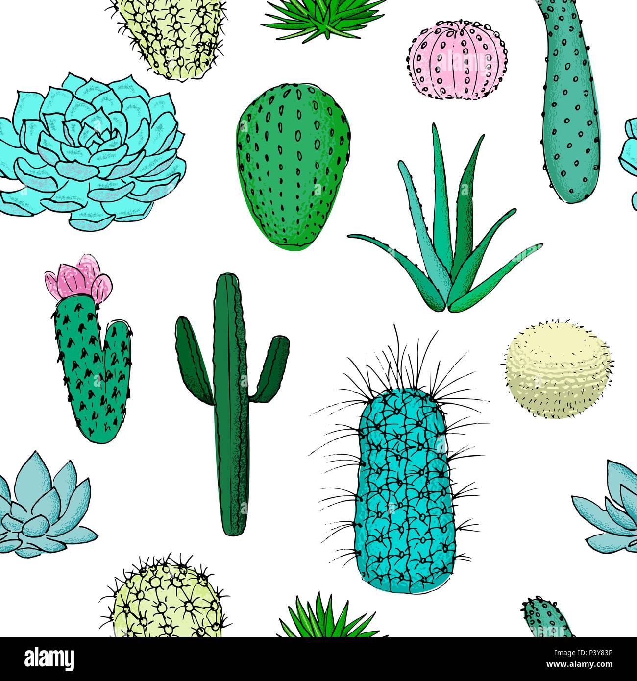 Cactus colorati seamless pattern, disegnati a mano illustrazione vettoriale. Collezione di succulente. n Illustrazione Vettoriale