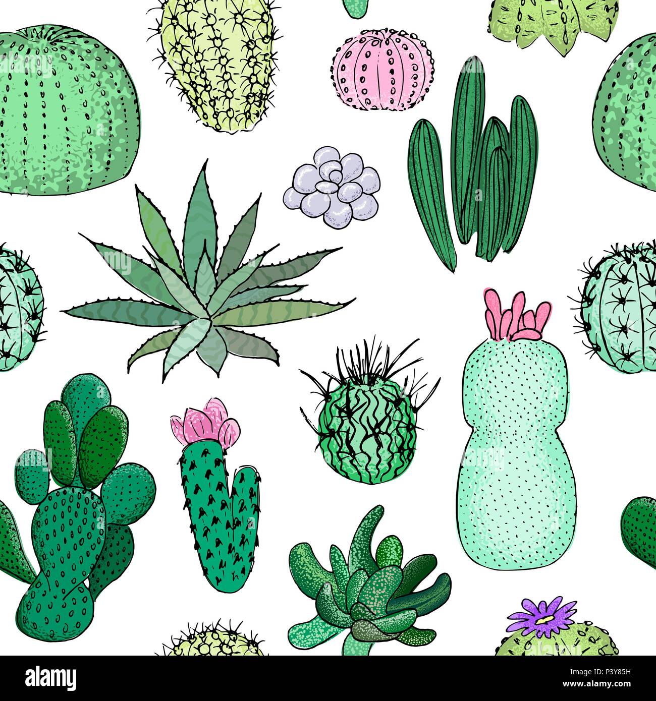 Cactus colorati seamless pattern, disegnati a mano illustrazione vettoriale. Collezione di succulente. n Illustrazione Vettoriale