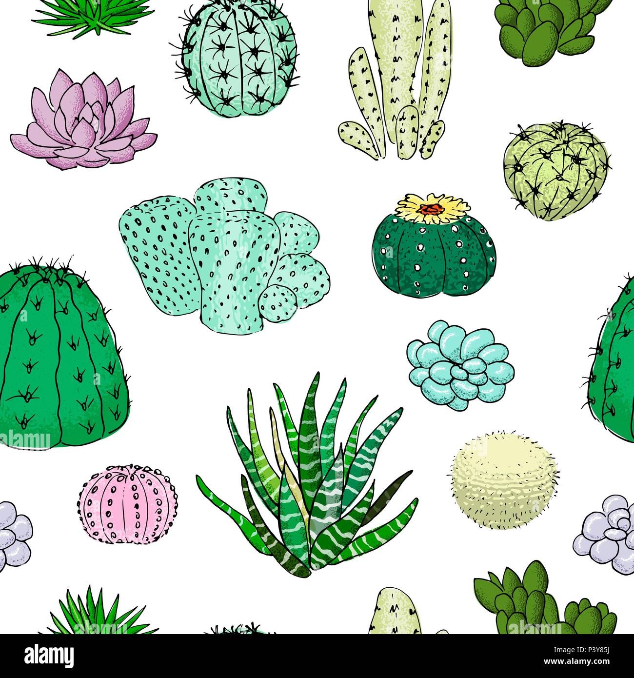 Cactus colorati seamless pattern, disegnati a mano illustrazione vettoriale. Collezione di succulente. n Illustrazione Vettoriale