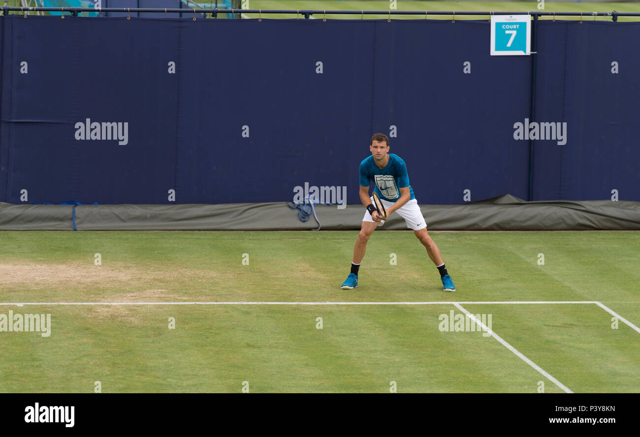 La Queen's Club di Londra, Regno Unito. 19 Giugno, 2018. Grigor Dimitrov (BUL) in una sessione di prove libere mattutina. Credito: Malcolm Park/Alamy Foto Stock