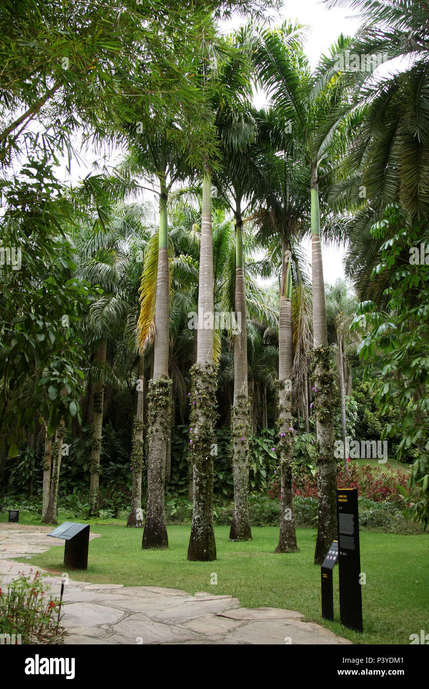 O Instituto Inhotim é una sede de um dos mais importantes acervos de arte contemporânea do Brasil e considerado o maior centro de arte ao ar livre da América Latina. Está localizado em Brumadinho (Minas Gerais). São 450 obras de artistas brasileiros e estrangeiros com destaque para trabalhos de Cildo Meireles, Tunga, Vik Muniz, Hélio Oiticica, Ernesto Neto, Matthew Barney, Doug Aitken, Chris Burden, Yayoi Kusama, Paul McCarthy, Zhang Huan, Valeska Soares, Marcellvs e Rivane Neuenschwander. Come exposições são sempre renovadas e galerias são anualmente inauguradas. Em 2010, o Instituto recebeu 42 Foto Stock