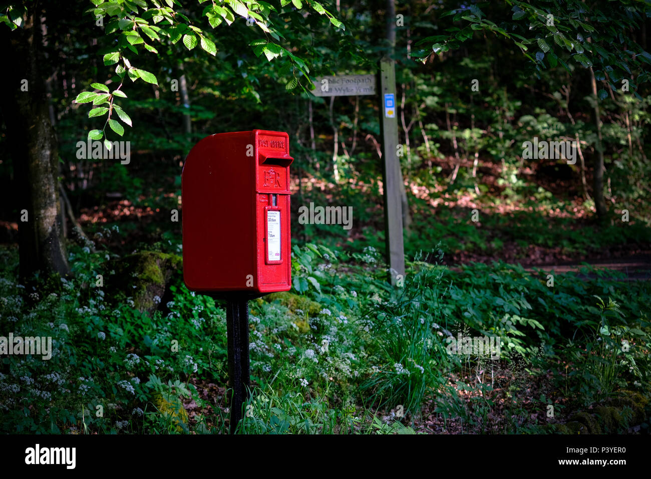 Piccolo rosso Postbox in una posizione rurale nel distretto del lago, Cumbria Foto Stock