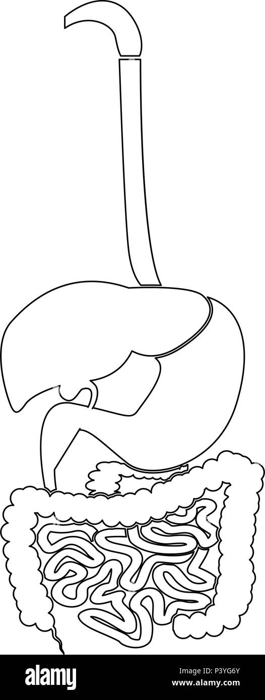Sistema digestivo icona colore nero vettore I stile piatto semplice immagine Illustrazione Vettoriale