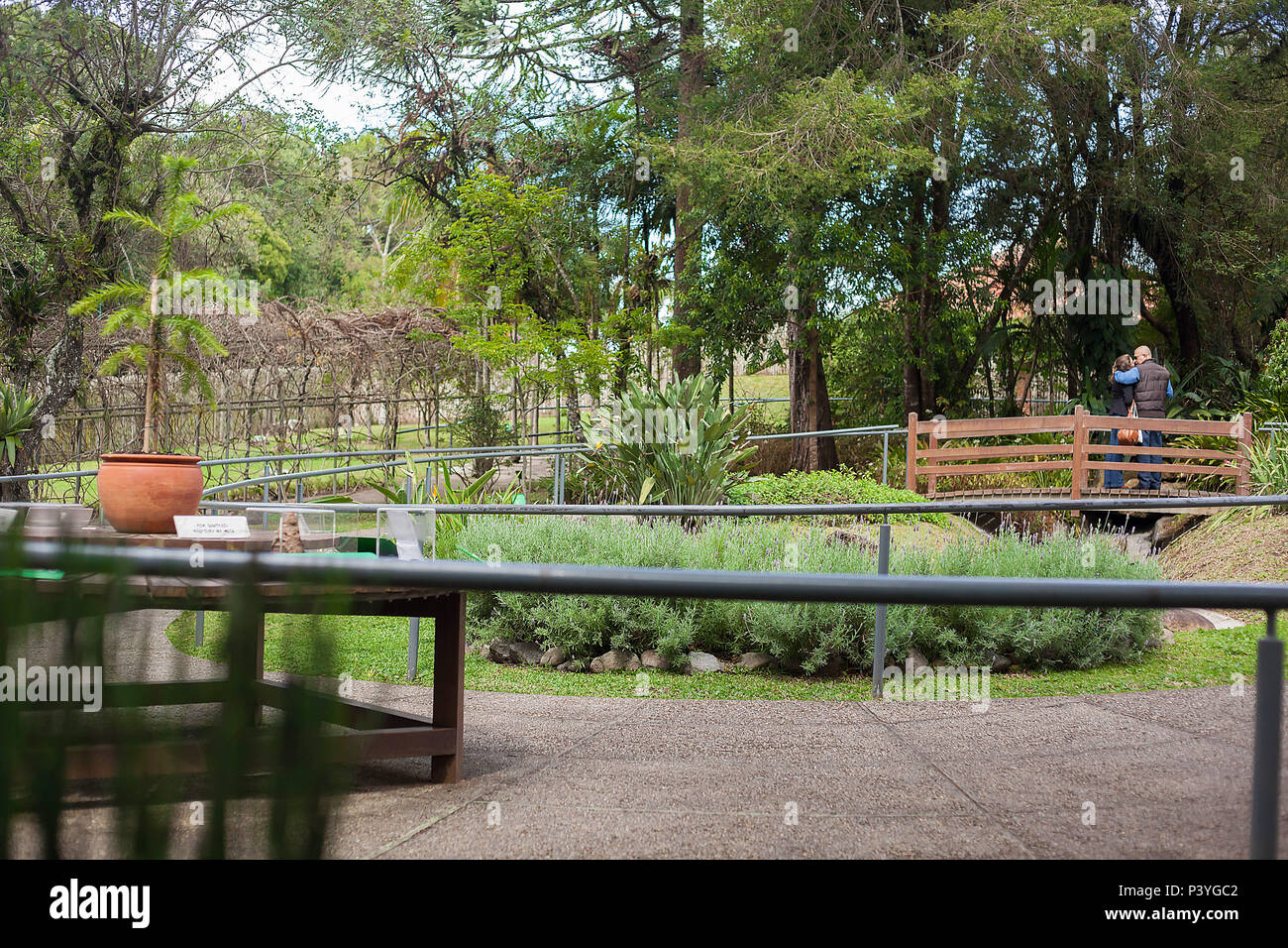 O Jardim das Sensações oferece um passeio em sensoriale 200 metro com plantas nativas, aromáticas e medicinais. Fica no parque Jardim Botânico - Rua Engenheiro Ostoja Rogunski, 690, Bairro Jardim Botânico, Curitiba (PR) O Horário de atendimento é de Terça-Feira a domingo, das 9h às 17h. Foto Stock