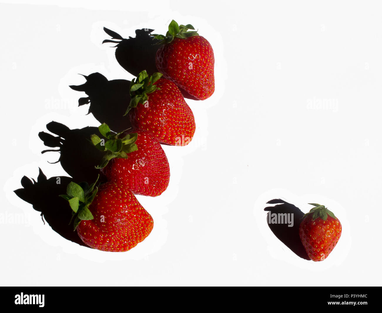 Fragole rosso su sfondo bianco Foto Stock