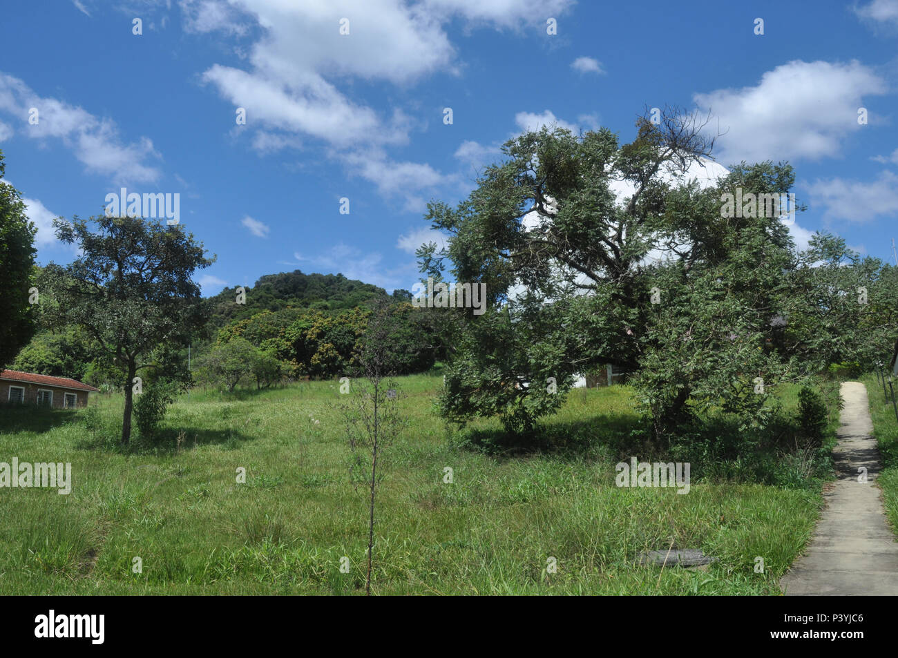 Vista da Rádio Observatório de Itapetinga, em Atibaia. Foto Stock