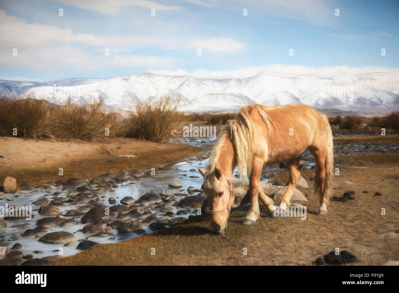 Cavallo mongolo vicino al fiume Foto Stock