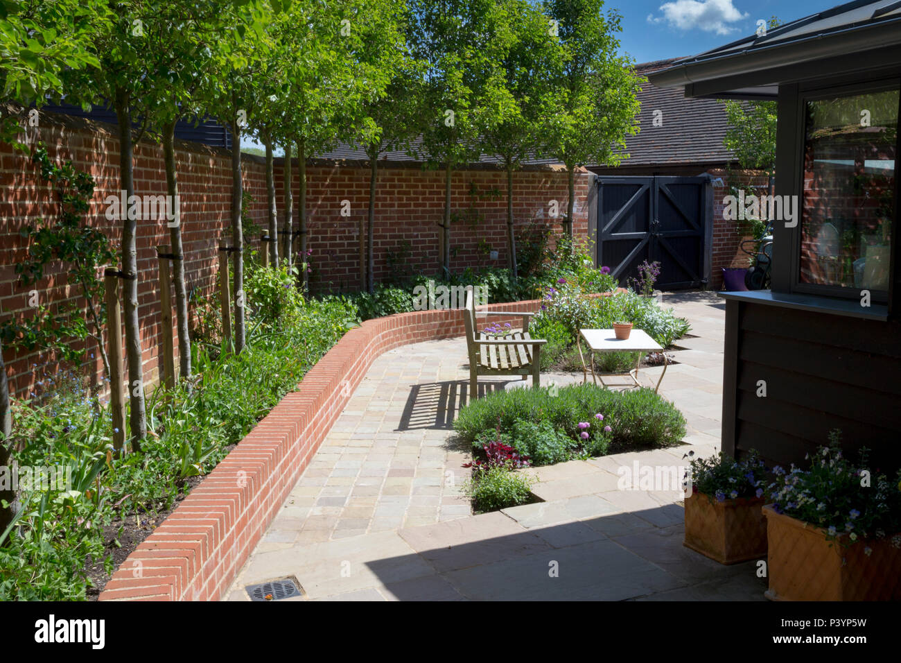 Panoramica del giardino patio con Pyrus calleryana Chanticleer "' lo screening contro affacciato sul case Foto Stock