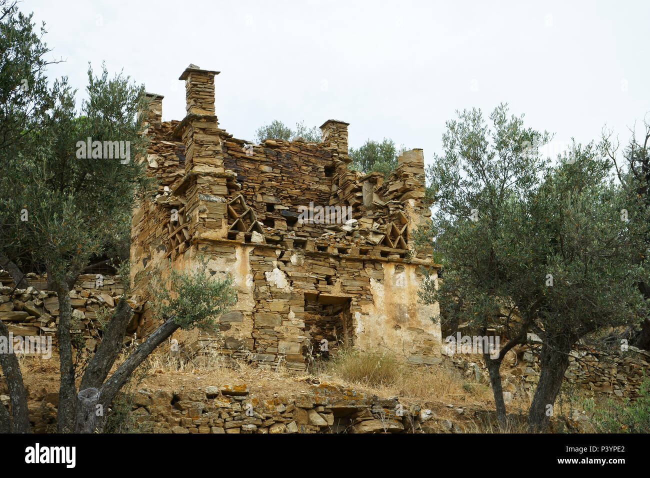 Pidgeon abbandonato vicino casa Kardiani, Isola di Naxos, Cicladi Grecia Foto Stock