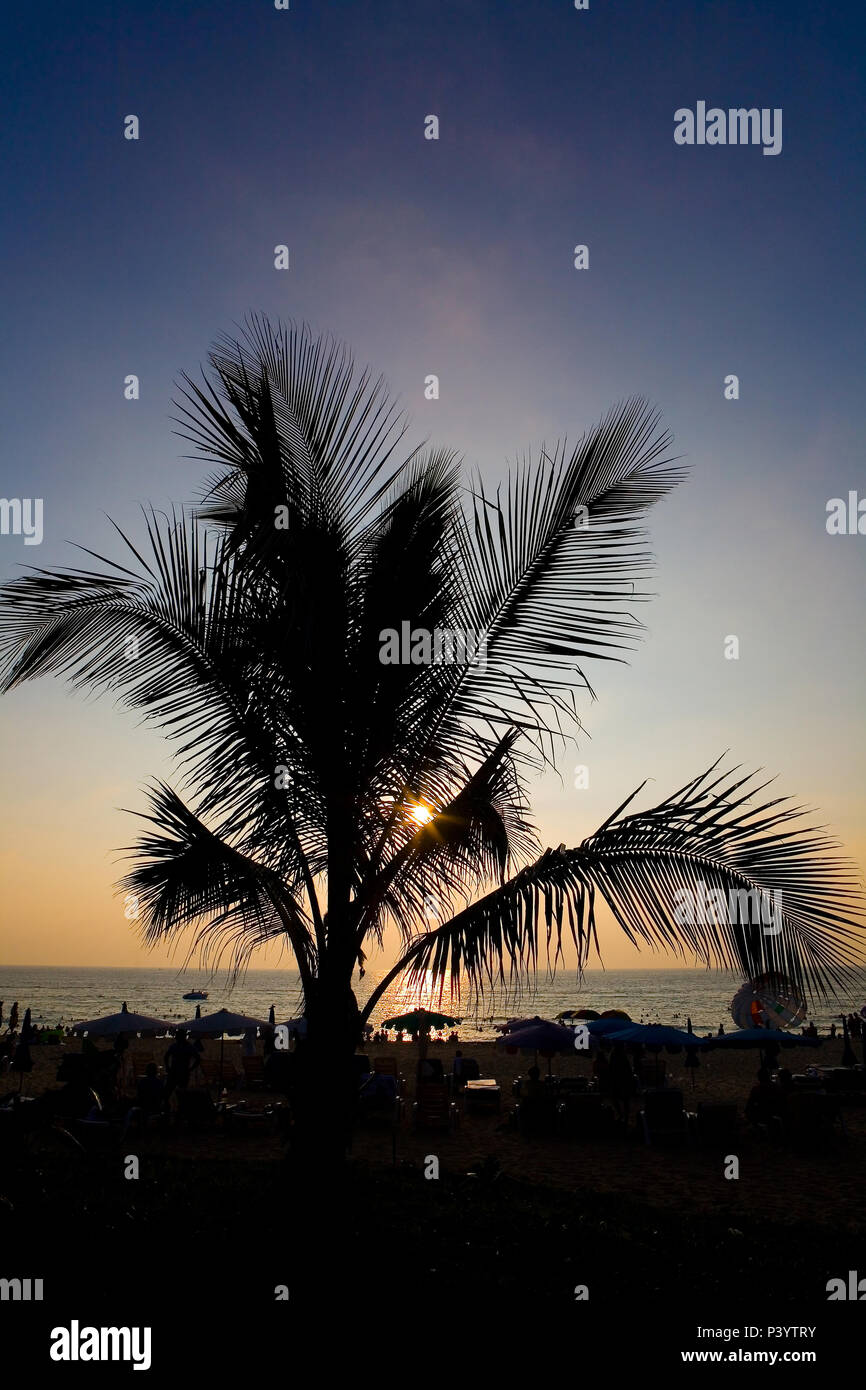 Karon, Thailandia, febbraio 17, 2018: Silhouette di una palma su un sfondo di tramonto sulla spiaggia. Foto Stock