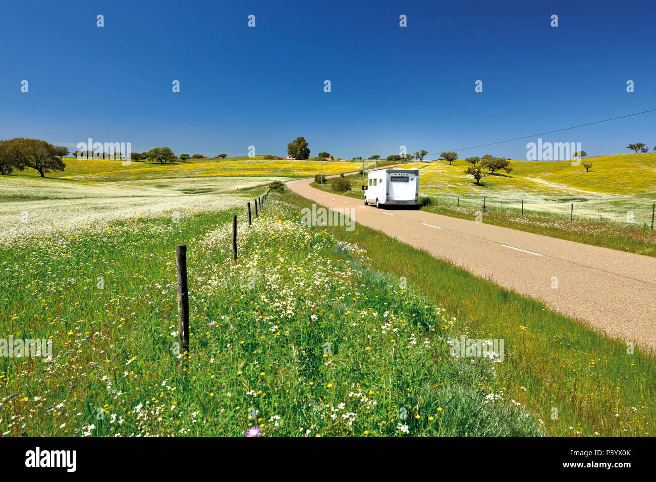 Motor home sul secondo la guida Lonely Street circondato da ampi campi con fiori di colore giallo e alberi di quercia Foto Stock
