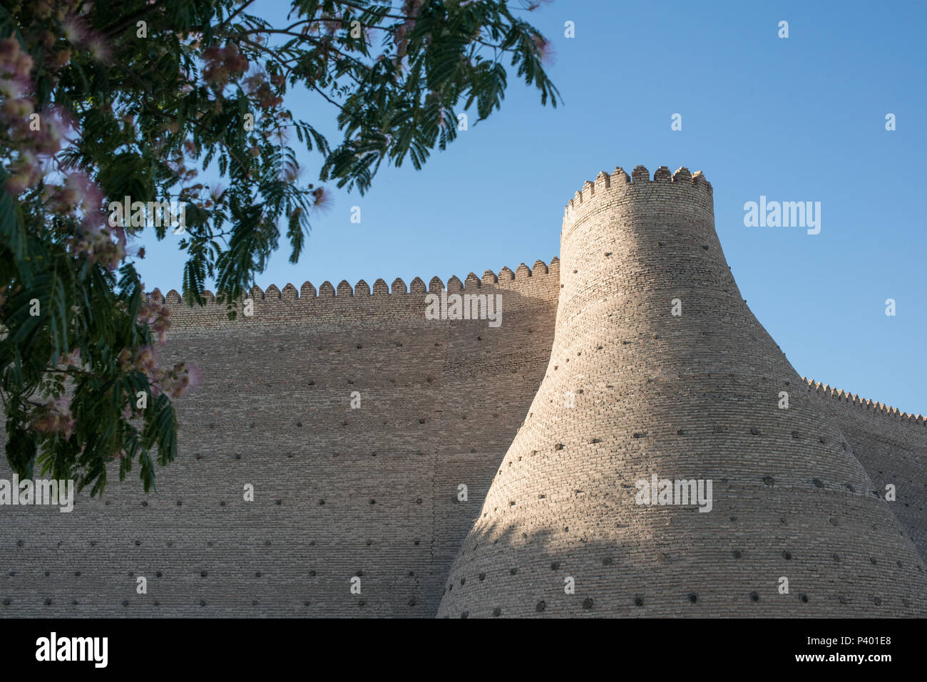 Le storiche mura della fortezza di arca a Bukhara, Asia centrale Foto Stock