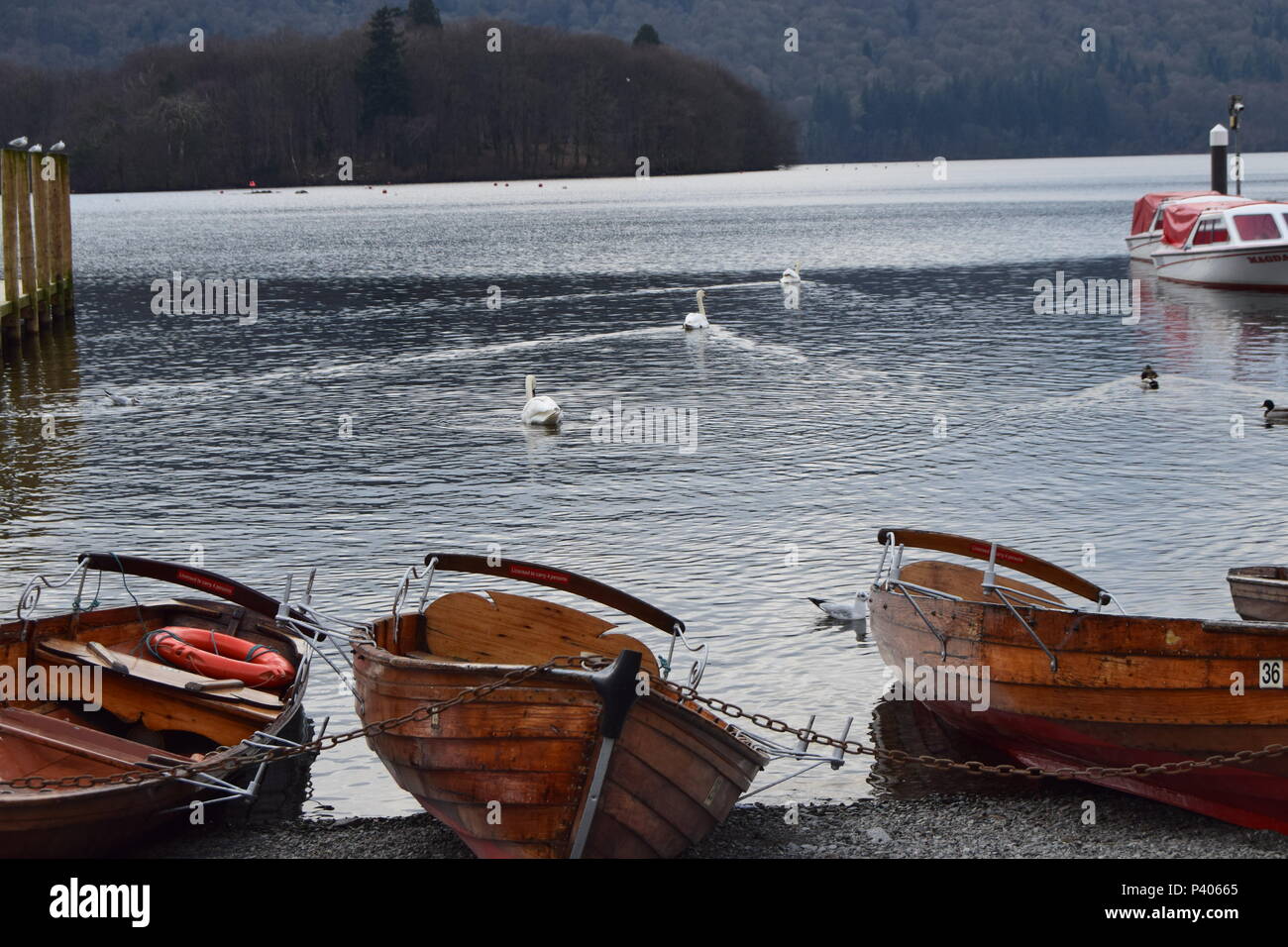 Barche a remi sul lago di Windermere Foto Stock